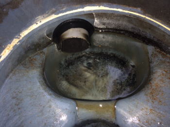 ���㉘���}�X