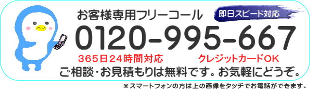 0120-995-667